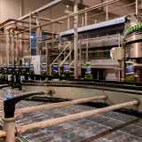 Un�etichettatrice provvede a �marchiarle� con i differenti brand e tipologie prodotte dall�azienda